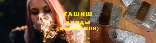 прущие грибы Алзамай