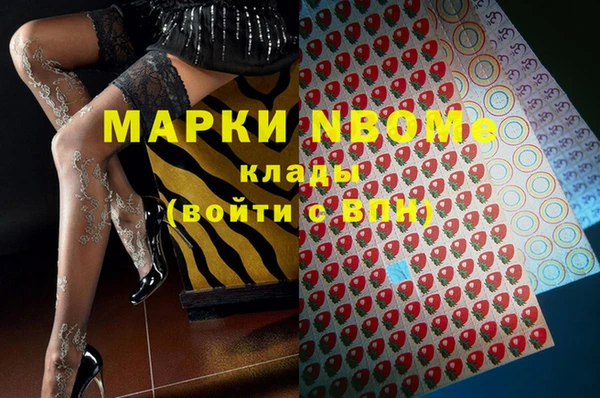 прущие грибы Алзамай
