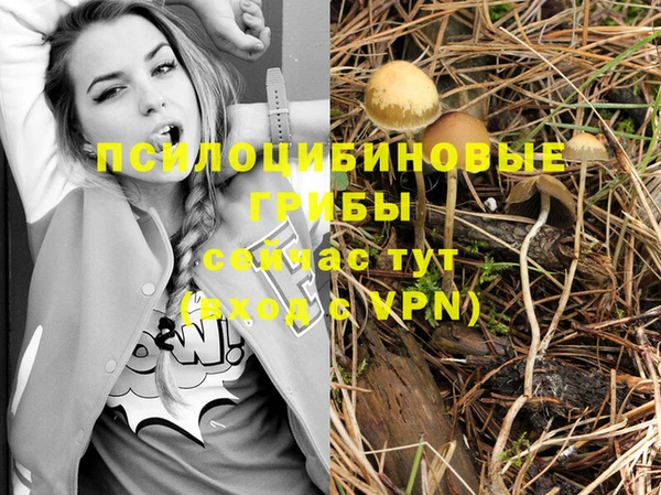 mix Алексин