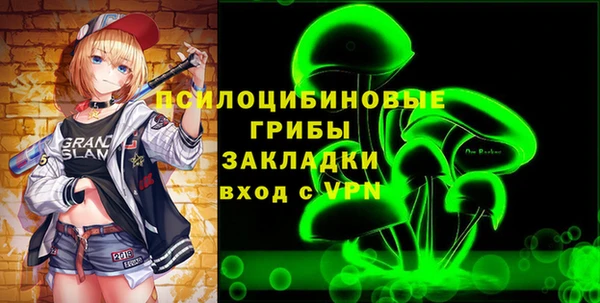 прущие грибы Алзамай
